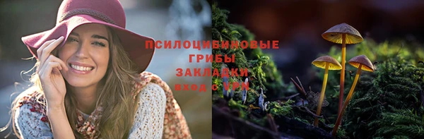 бутират Абаза