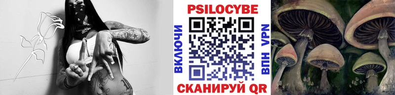Псилоцибиновые грибы Psilocybe  mega ССЫЛКА  Кандалакша 